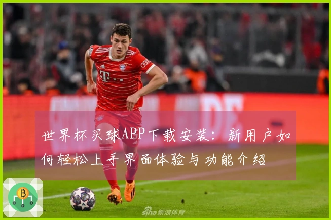 世界杯买球APP下载安装：新用户如何轻松上手界面体验与功能介绍