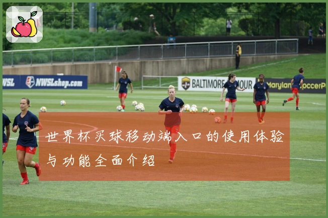 世界杯买球移动端入口的使用体验与功能全面介绍