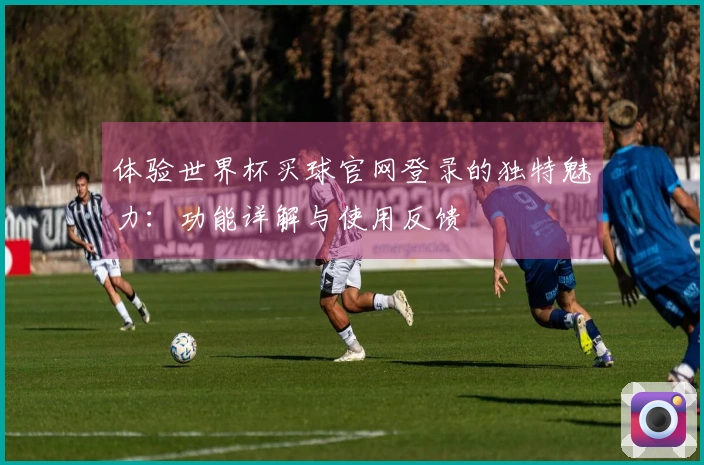 体验世界杯买球官网登录的独特魅力：功能详解与使用反馈