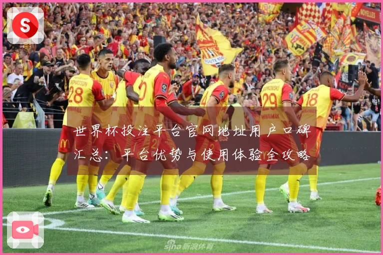 世界杯投注平台官网地址用户口碑汇总：平台优势与使用体验全攻略