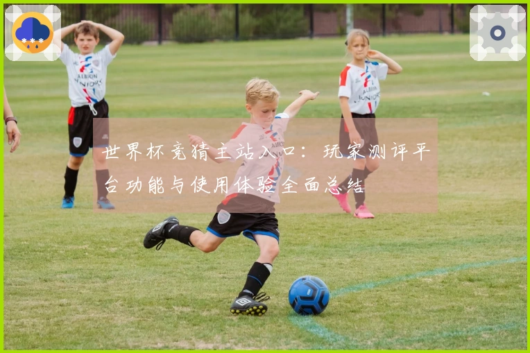 世界杯竞猜主站入口：玩家测评平台功能与使用体验全面总结
