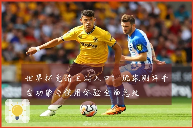 世界杯竞猜主站入口：玩家测评平台功能与使用体验全面总结