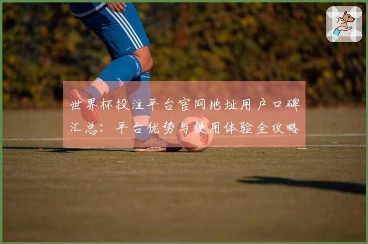 世界杯投注平台官网地址用户口碑汇总：平台优势与使用体验全攻略